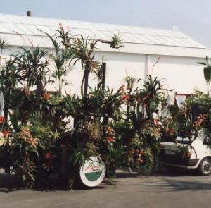 1985 Partecipazione carri floreali copia